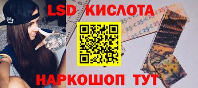 гашик Дубна