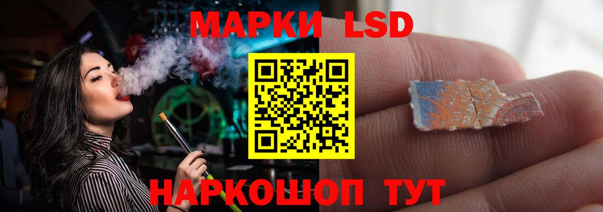 МЕФ Выборг