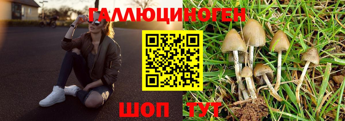 Галлюциногенные грибы ЛСД  Галлюциногенные грибы Cubensis  Вход с VPN  Выборг 